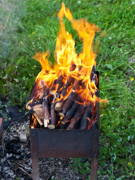 Tungor av eld på brazier — Stockfoto