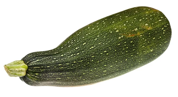 녹색 호박 — 스톡 사진