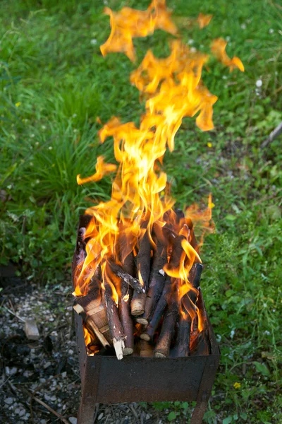 Tongen van vuur op brazier — Stockfoto