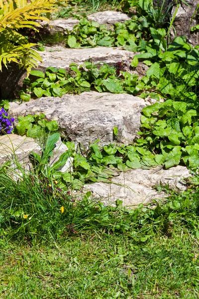 Old stone steps overgrown in grass — Stock Photo, Image