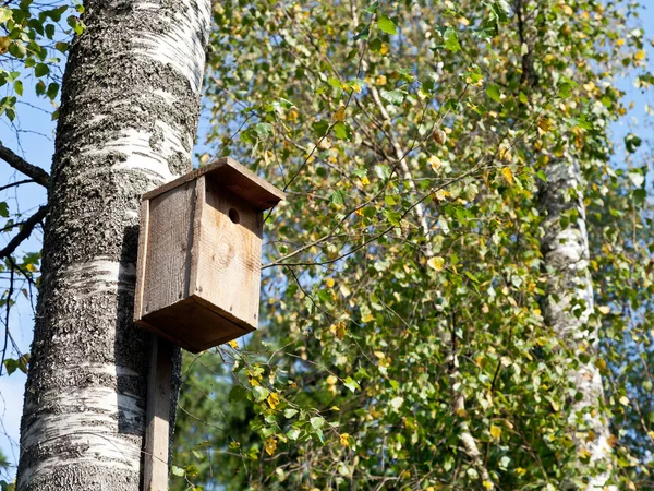 Wooden birdhouse on birch — Stock Photo, Image
