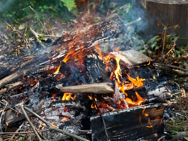 Brinnande trädgrenar — Stockfoto