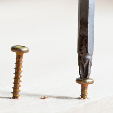 tornavida vida sarar