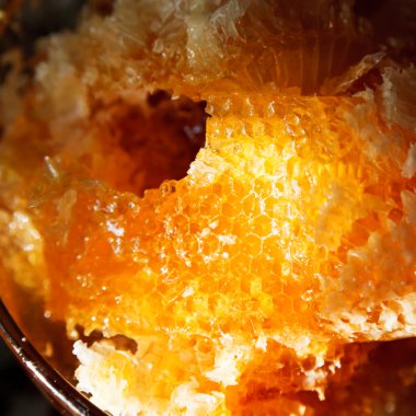 bal tarak ışıklı güneş ışığında