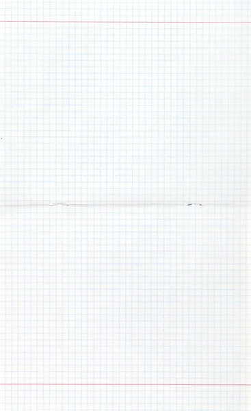 Double-page notebook squared spread — Stock Photo, Image