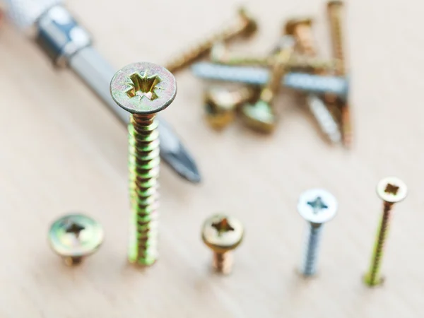 Screwdriver and different size screws — Stock Photo, Image