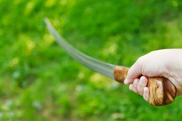 Attack with cossack saber — Stock Photo, Image