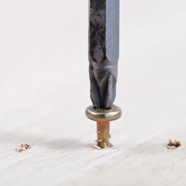 Screwdriver wraps screw — Stock Photo, Image