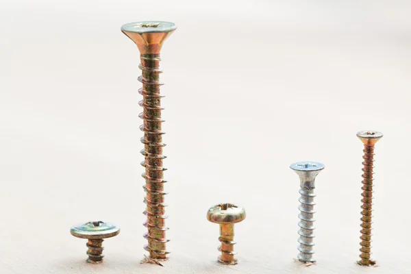 Range of screws wrapped in wooden plank — Stock Photo, Image