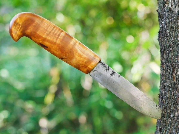 Cuchillo atascado en el árbol — Foto de Stock