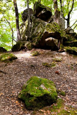 Rock devil parmak Kafkas Dağları