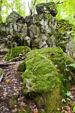 Rock devil parmak Kafkas Dağları