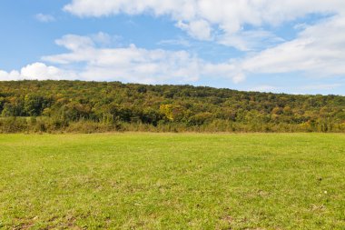 Kafkas Dağları eteklerinde, yeşil çayır