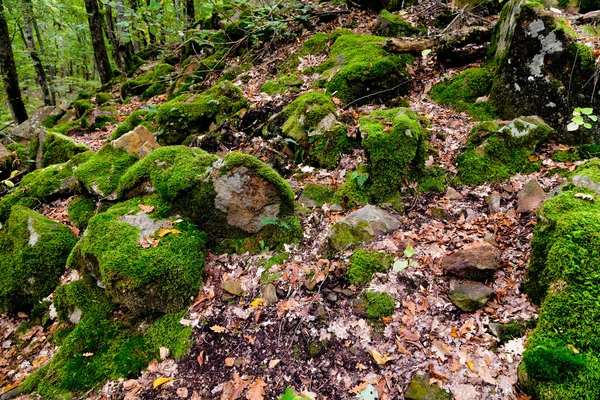 Каменный палец дьявола в горах Кавказа — стоковое фото