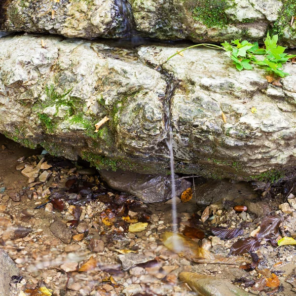 Printemps d'argent dans les montagnes du caucase — Photo