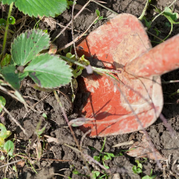 Digging with trowel — Stock Photo, Image