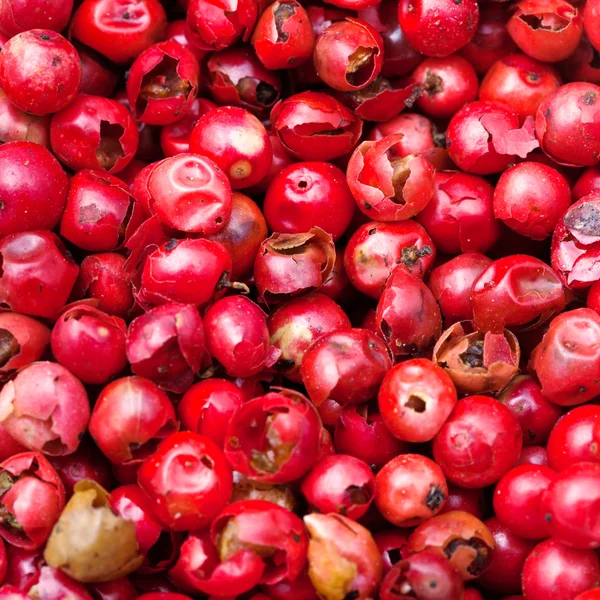Pimiento rojo granos de pimienta —  Fotos de Stock