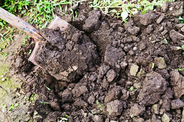 Digging with spade — Stock Photo, Image