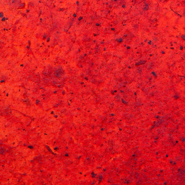Tkemali チェリー プラムのマッシュ ポテト パルプの乾燥 — ストック写真