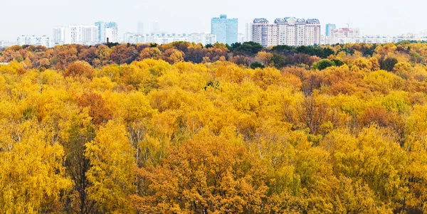 Vista paesaggio urbano con parco urbano autunnale — Foto Stock