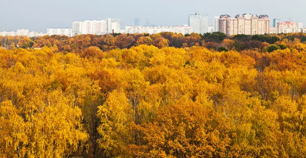 Jesień park miejski — Zdjęcie stockowe