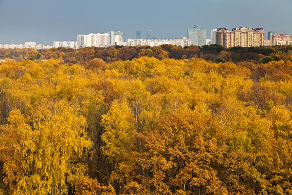 Autumn skyline — 图库照片