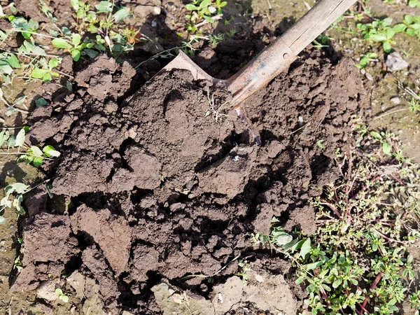 Digging up garden — Stock Photo, Image