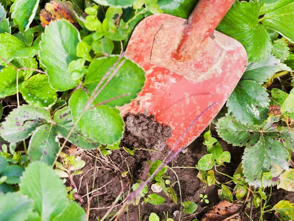 Excavación con paleta — Foto de Stock