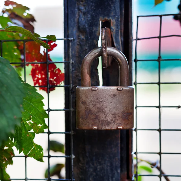 Locked padlock on gate — Stock Photo, Image