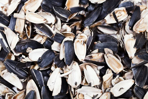 Husks of roasted sunflower seeds — Stock Photo, Image