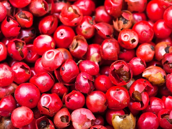 Viele rote Pfefferkörner — Stockfoto