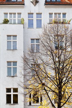 Apartman ve sarı ıhlamur'ın