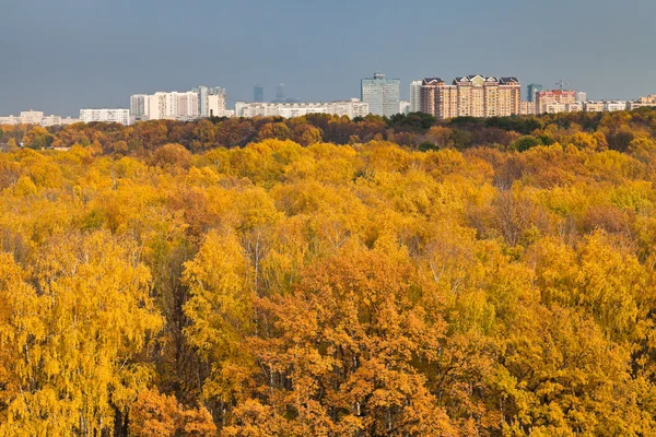 Cityscape with autumn urban park — Stock Photo, Image