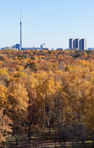 Blick auf Fernsehturm und Herbstwald — Stockfoto