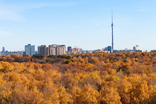 Panorama with TV tower and autumn fores — Stock Photo, Image