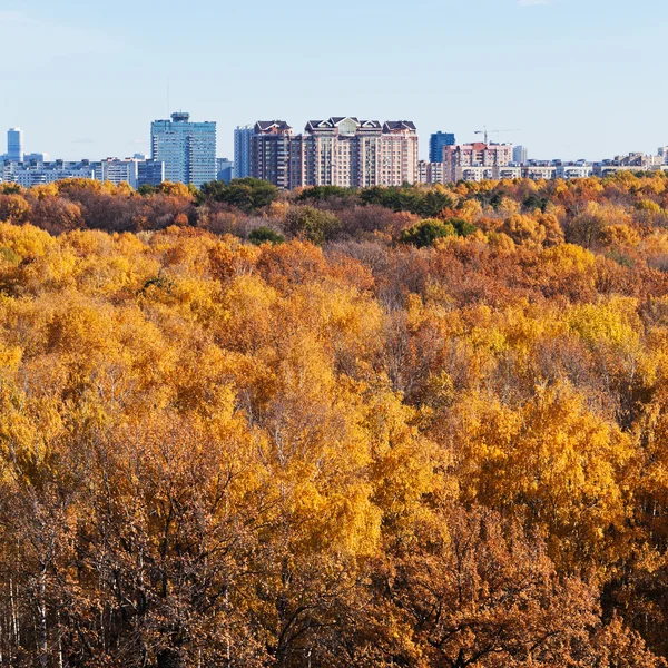 Städtische Gebäude am Waldrand im Herbst — Stockfoto
