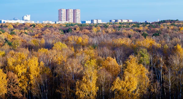 Stedelijke huizen, herfst bomen en blauwe middag hemel — Stockfoto