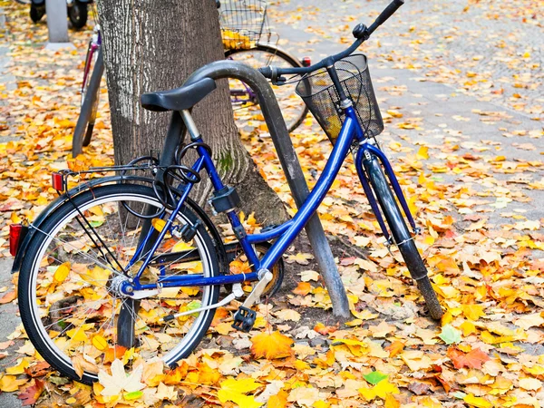 Vélo garé dans la rue avec des feuilles tombées — Photo