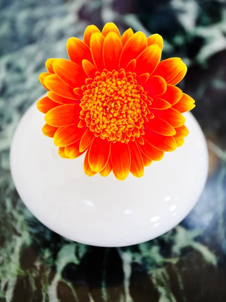 Beyaz seramik vazoda turuncu gerbera çiçek — Stok fotoğraf