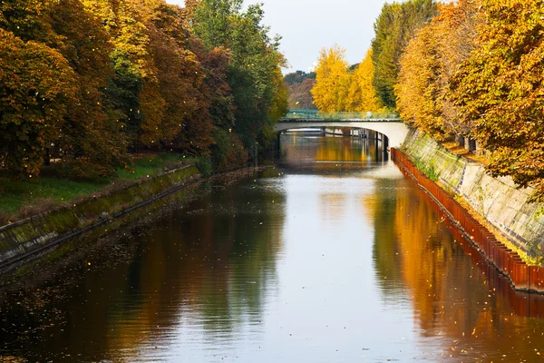 Bron och nedgången av leavesl på landwehrkanal — Stockfoto