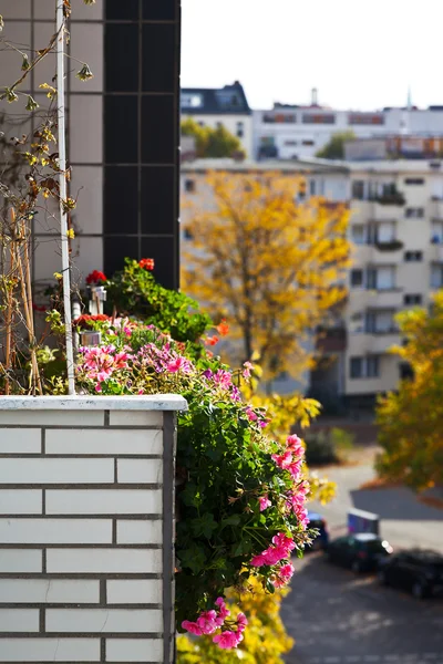Cama de flores en el balcón de la casa urbana — Foto de Stock