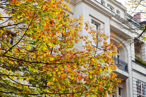 Maison de maître urbaine du 19ème siècle à Berlin — Photo