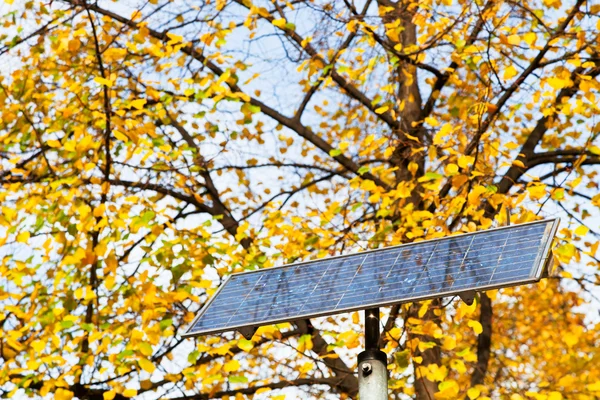 Outdoor solar battery panel and tree — Stock Photo, Image