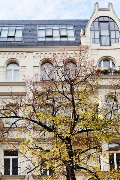 Linden a fasáda bytového domu v Berlíně — Stock fotografie