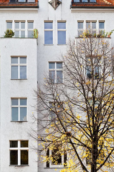 Fasáda bytového domu a žluté linden — Stock fotografie