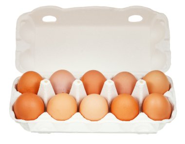 10 tavuk yumurta karton konteyner