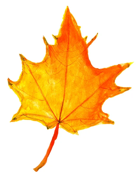 Children drawing - autumn yellow maple leaf — Stock Photo, Image