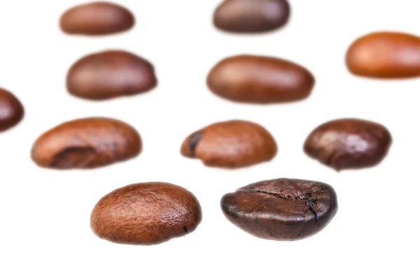 Rows from roasted coffee beans — Stock Photo, Image