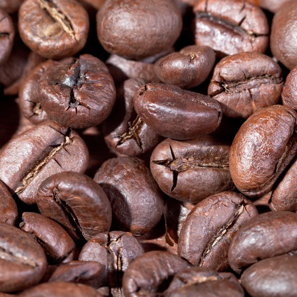 Roasted coffee beans macro shot — Stock Photo, Image