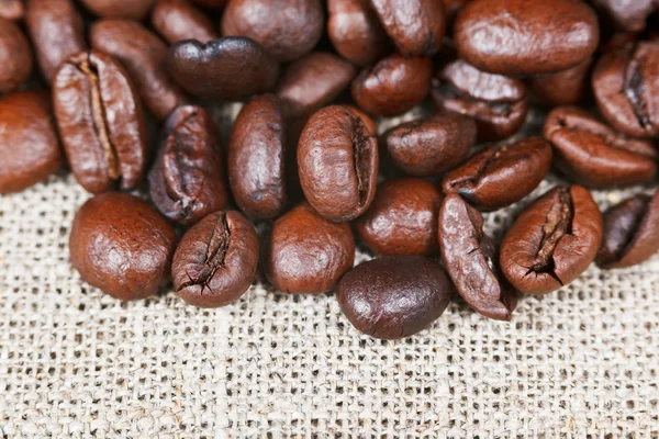 Rostade kaffebönor på uppsamlare — Stockfoto